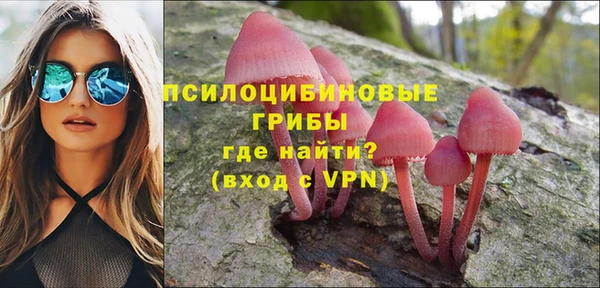 стафф Беломорск