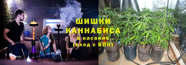 Альфа ПВП Белокуриха