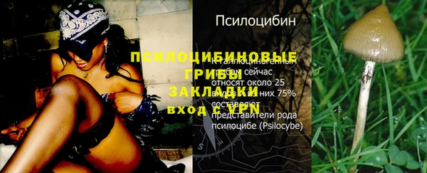 кристаллы Лабытнанги