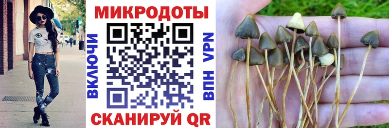 МЕГА вход  Володарск  Псилоцибиновые грибы Magic Shrooms 